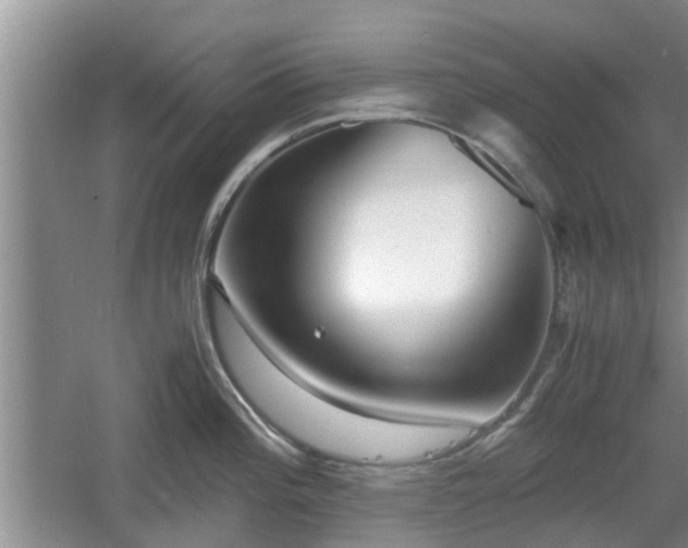 X0000060781196200511141408