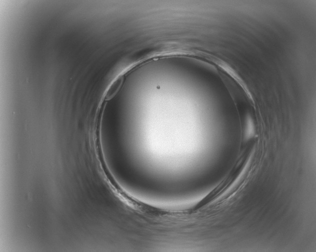 X0000060781197200511141408