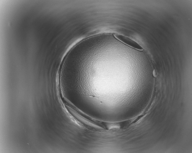 X0000060781198200511141408