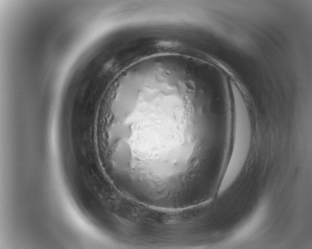 X0000060781199200511141408