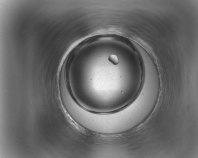 X0000060781200200511141408