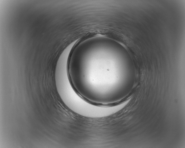 X0000060781202200511141408