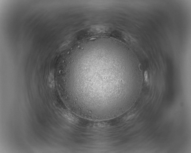 X0000060781203200511141408