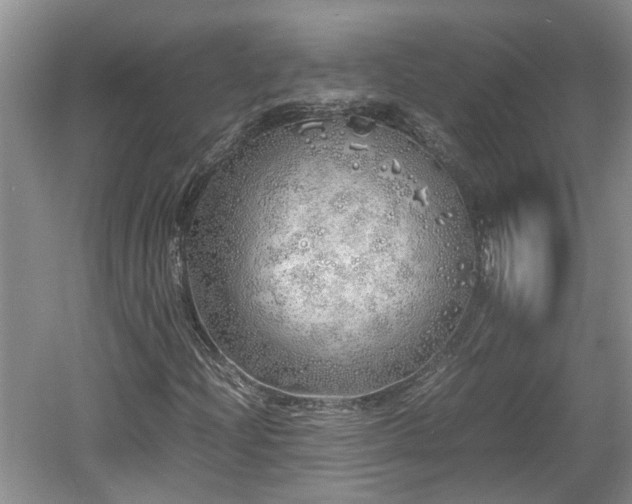 X0000060781204200511141408