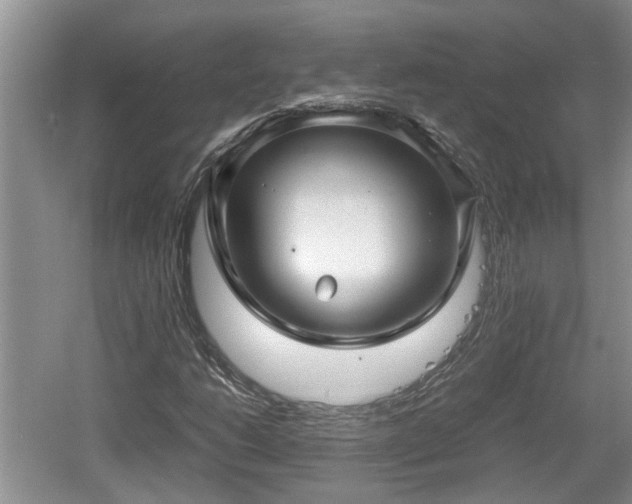 X0000060781206200511141408