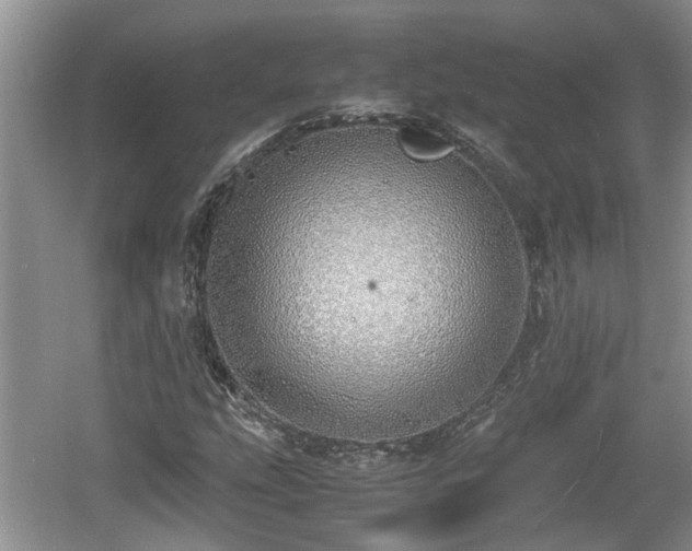 X0000060781207200511141408