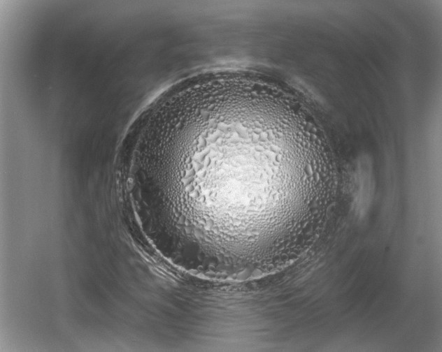 X0000060781208200511141408