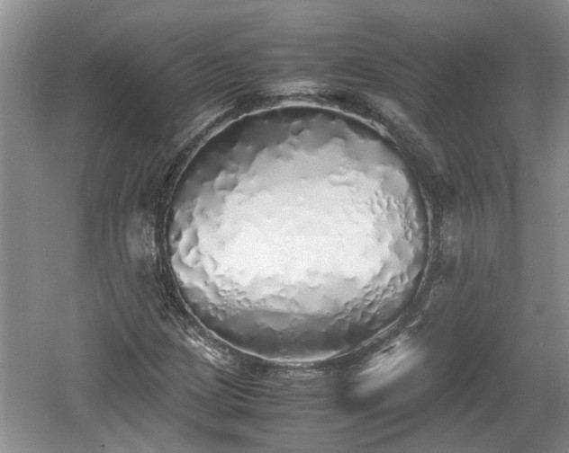 X0000060781209200511141408