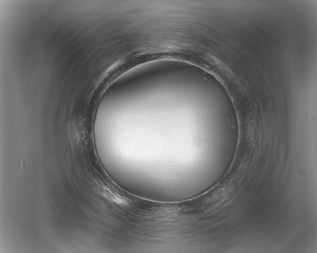 X0000060781210200511141408