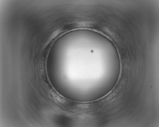 X0000060781211200511141408