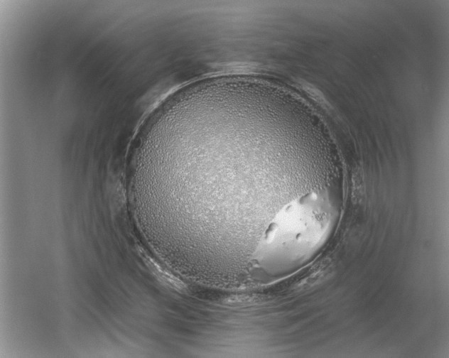 X0000060781212200511141408