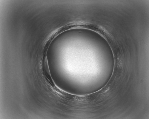 X0000060781213200511141408