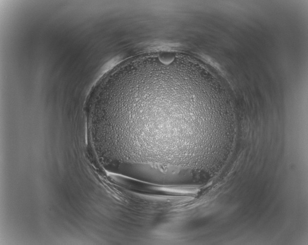 X0000060781219200511141408