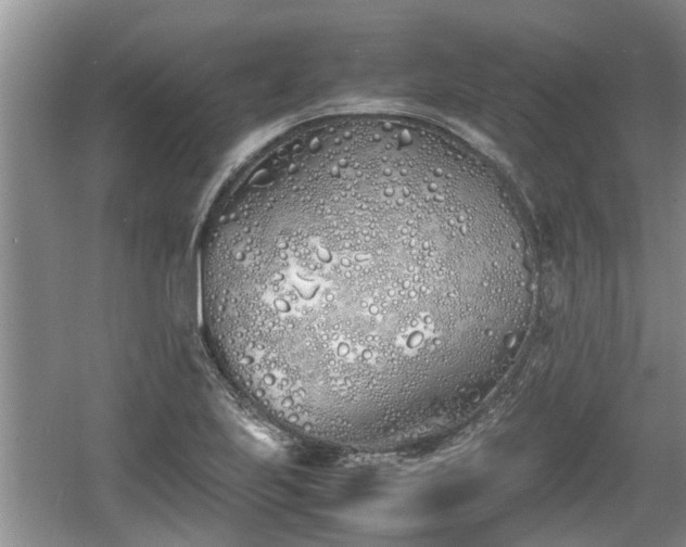 X0000060781223200511141408