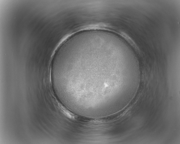 X0000060781224200511141408