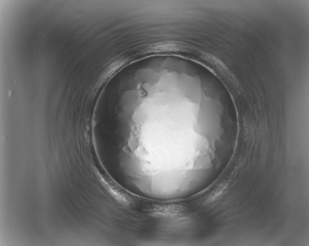 X0000060781225200511141408