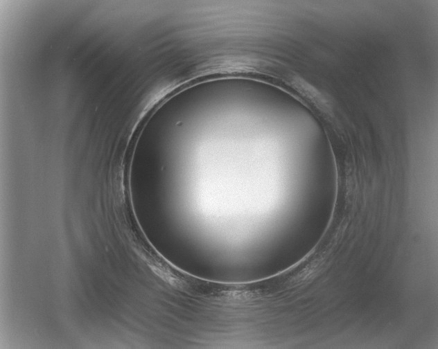 X0000060781226200511141408