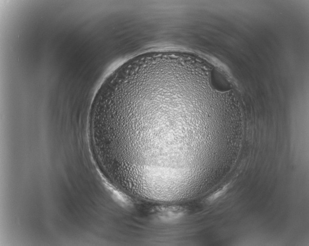 X0000060781231200511141408