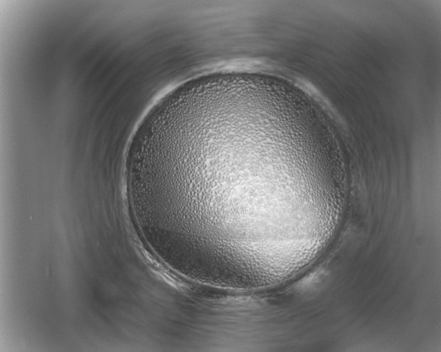 X0000060781232200511141408