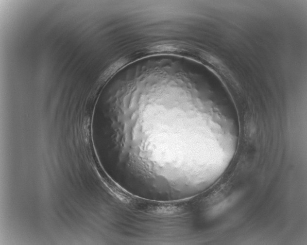 X0000060781233200511141408