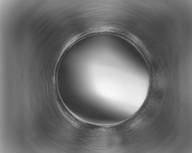 X0000060781234200511141408