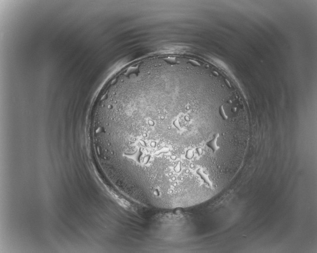 X0000060781235200511141408