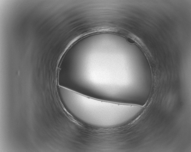 X0000060781236200511141408