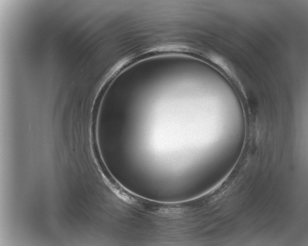 X0000060781237200511141408