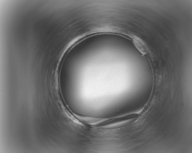 X0000060781238200511141408