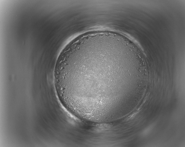 X0000060781239200511141408