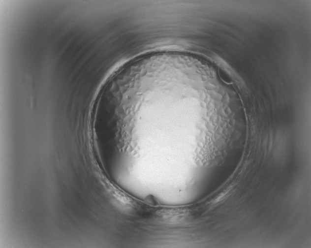 X0000060781240200511141408