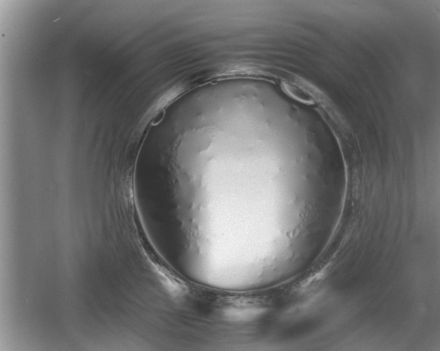 X0000060781241200511141408