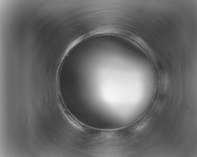 X0000060781242200511141408