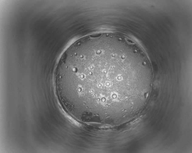 X0000060781243200511141408