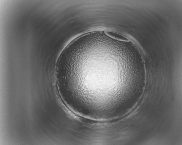 X0000060781244200511141408