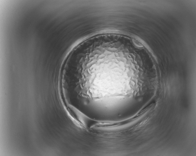 X0000060781245200511141408