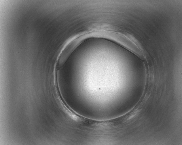 X0000060781246200511141408