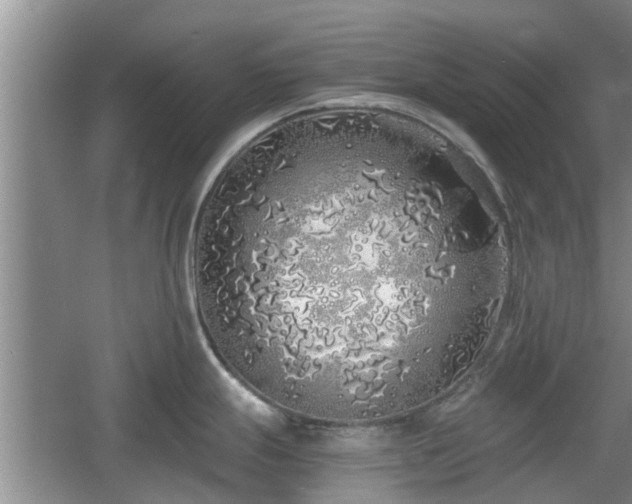 X0000060781247200511141408