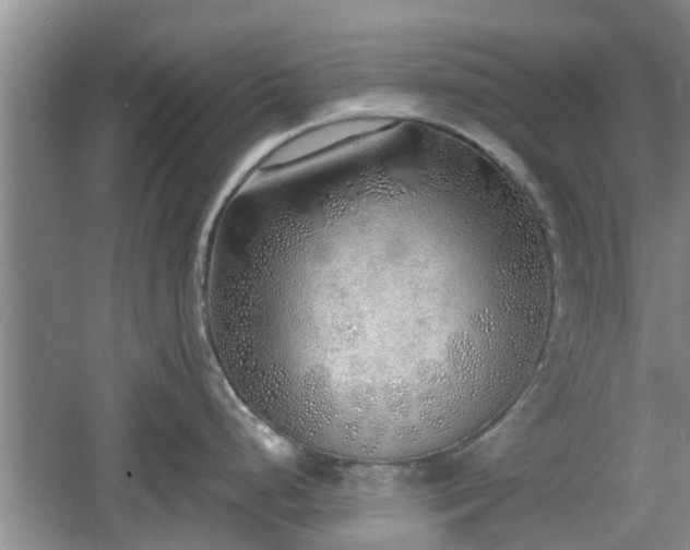 X0000060781248200511141408