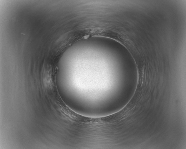 X0000060781250200511141407