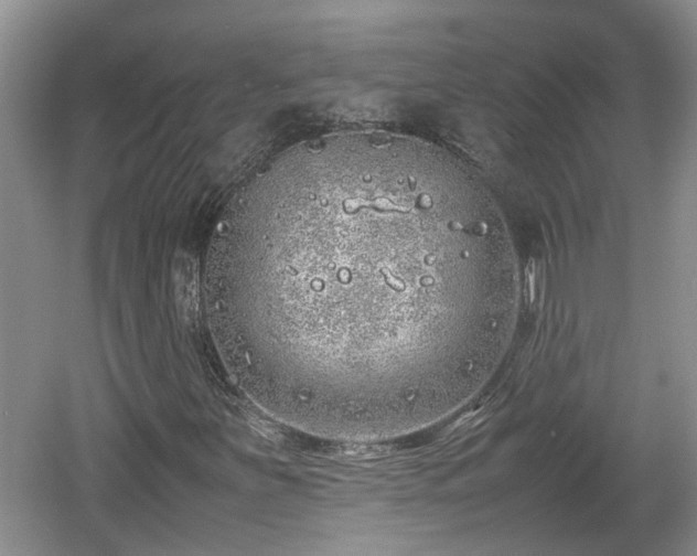 X0000060781251200511141407