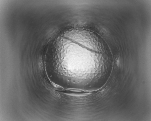 X0000060781252200511141407