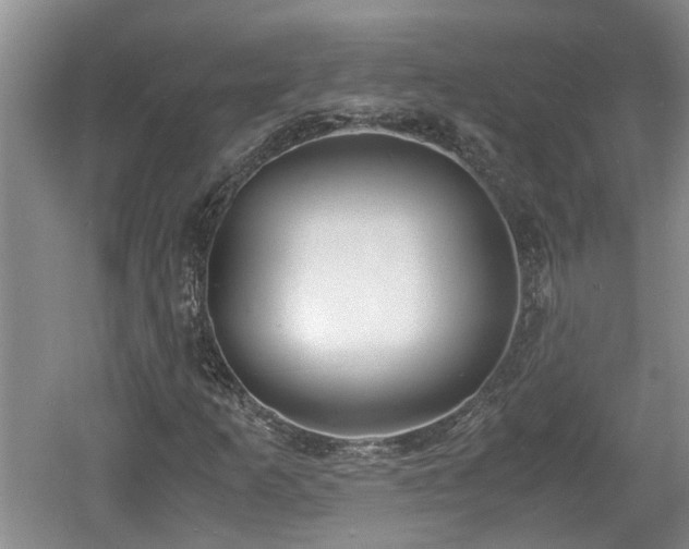 X0000060781253200511141407