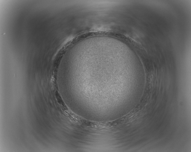 X0000060781254200511141407