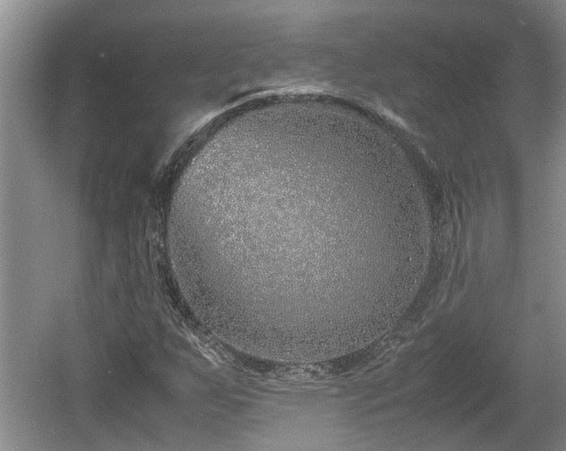 X0000060781255200511141407