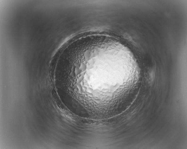 X0000060781256200511141407