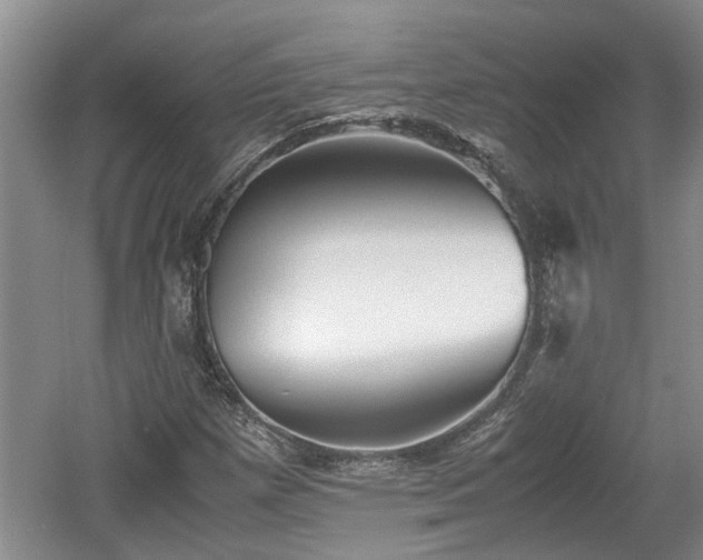 X0000060781257200511141407