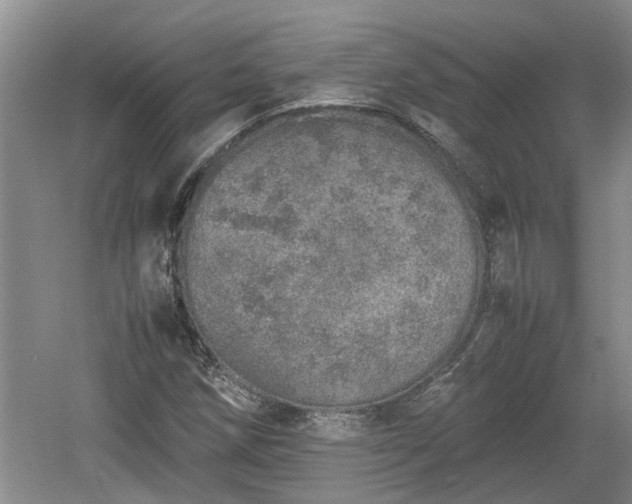 X0000060781258200511141407