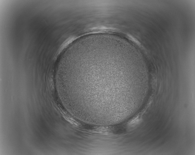 X0000060781259200511141407