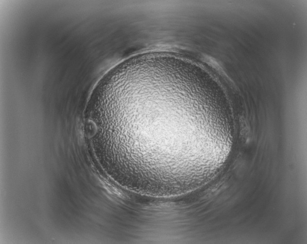 X0000060781260200511141407